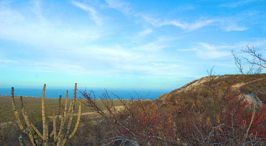 Buying & Building in Baja Baja Dream Properties